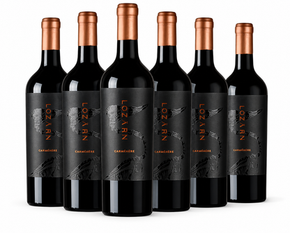 Lozarn Carmenere Ivan