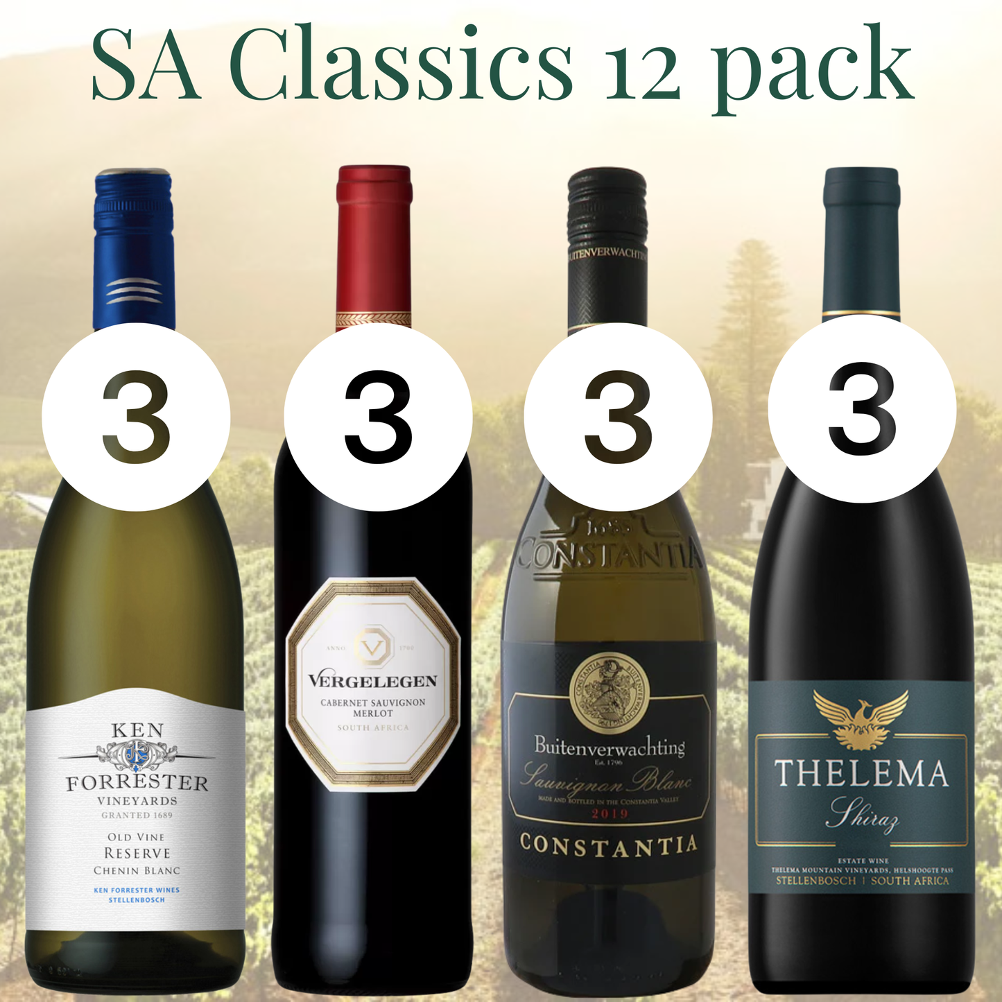 South African Classics 12-Bottle Case