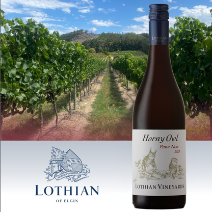 Lothian Horny Owl Pinot Noir