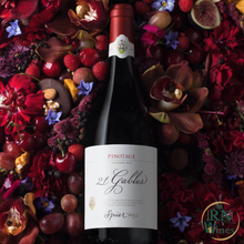 Load image into Gallery viewer, Spier 21 Gables Pinotage
